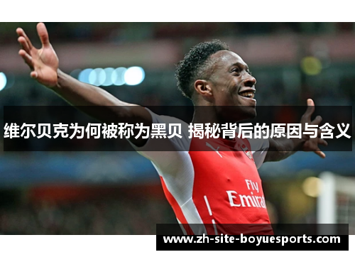 维尔贝克为何被称为黑贝 揭秘背后的原因与含义 维尔贝克为何被称为黑贝 揭秘背后的原因与含义